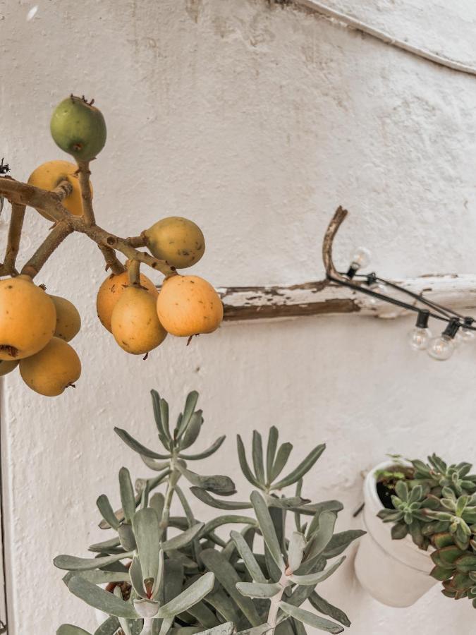 Apartamento C-Alma En El Corazon De Vejer Lägenhet Vejer de la Frontera Exteriör bild